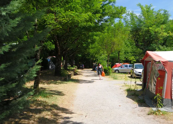 Shaded avenue with tent pitches on the Rouvière campsite