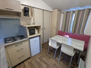 Comfortable mobile home with dining area